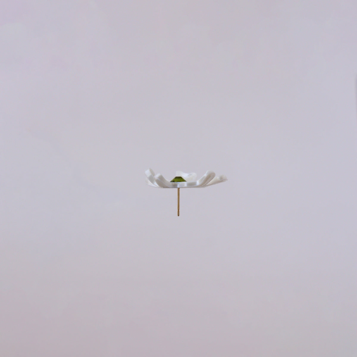 Florecitas del jardín