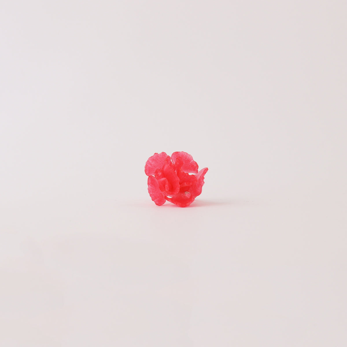 Clavel