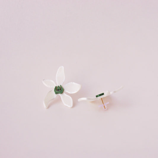 Aretes Bruna