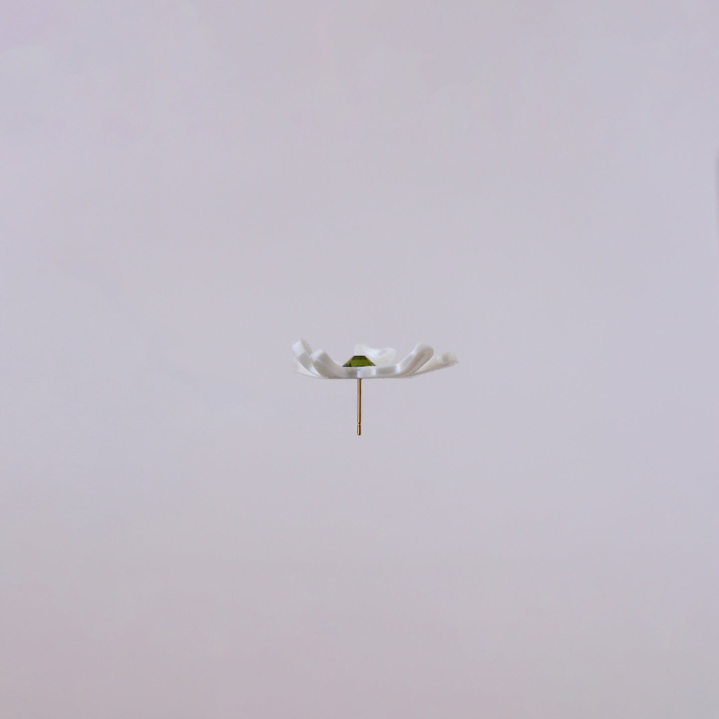 Florecitas del jardín