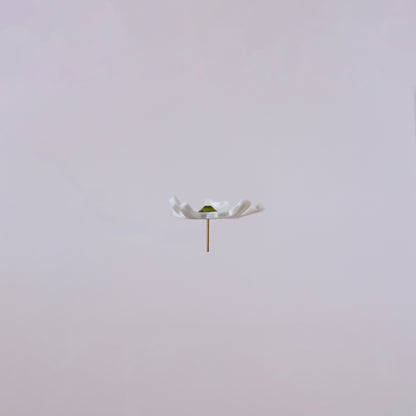 Florecitas del jardín