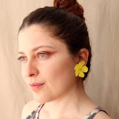Aretes Aura