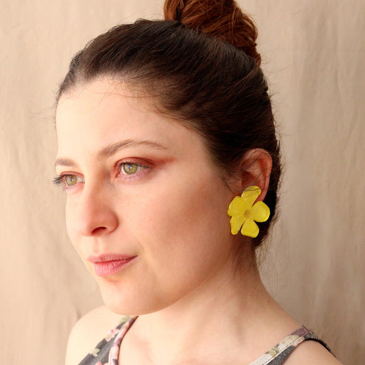 Aretes Aura