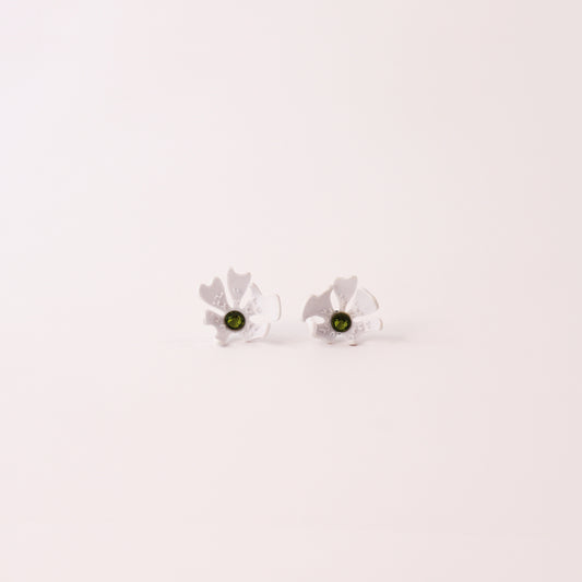 Florecitas del jardín